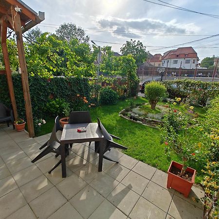Transsylvanian Wolves Apartment Sybin Zewnętrze zdjęcie