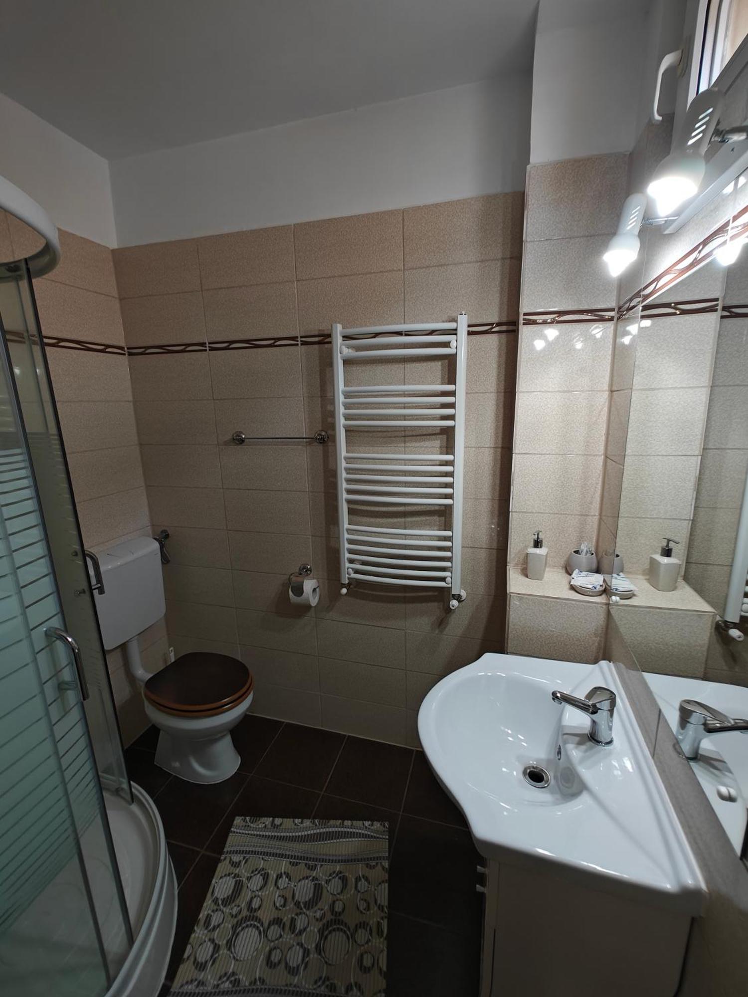 Transsylvanian Wolves Apartment Sybin Zewnętrze zdjęcie