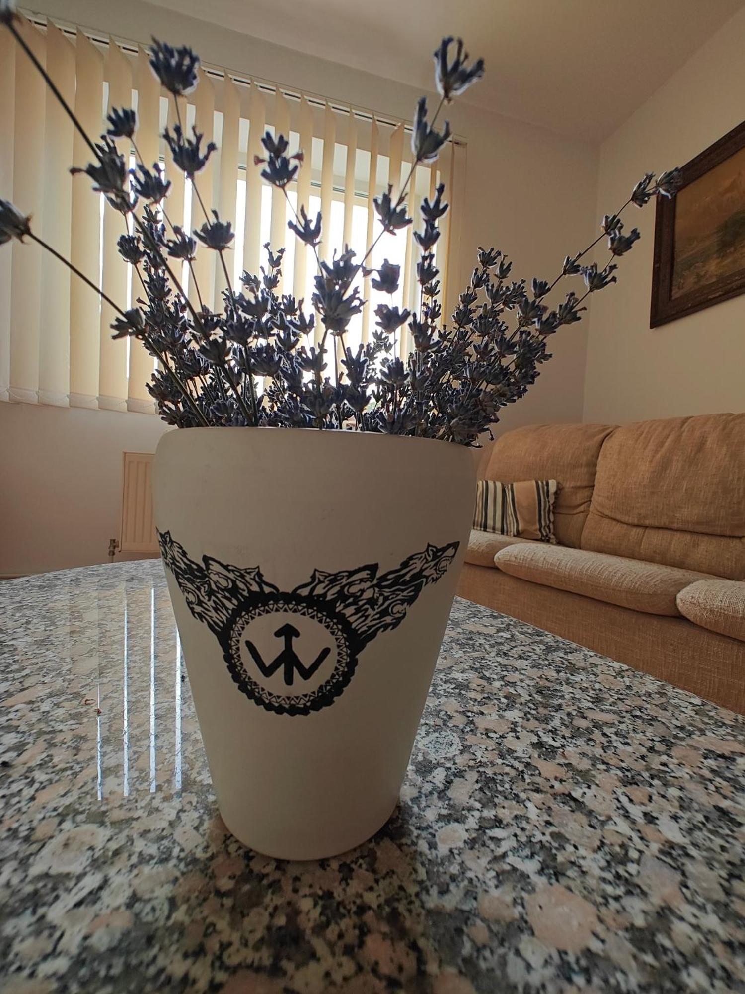 Transsylvanian Wolves Apartment Sybin Zewnętrze zdjęcie